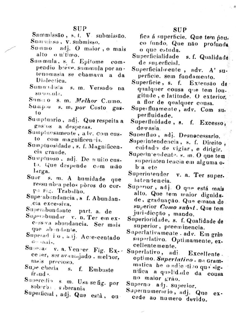 Página 1009_Diccionario da Lingua Brasileira