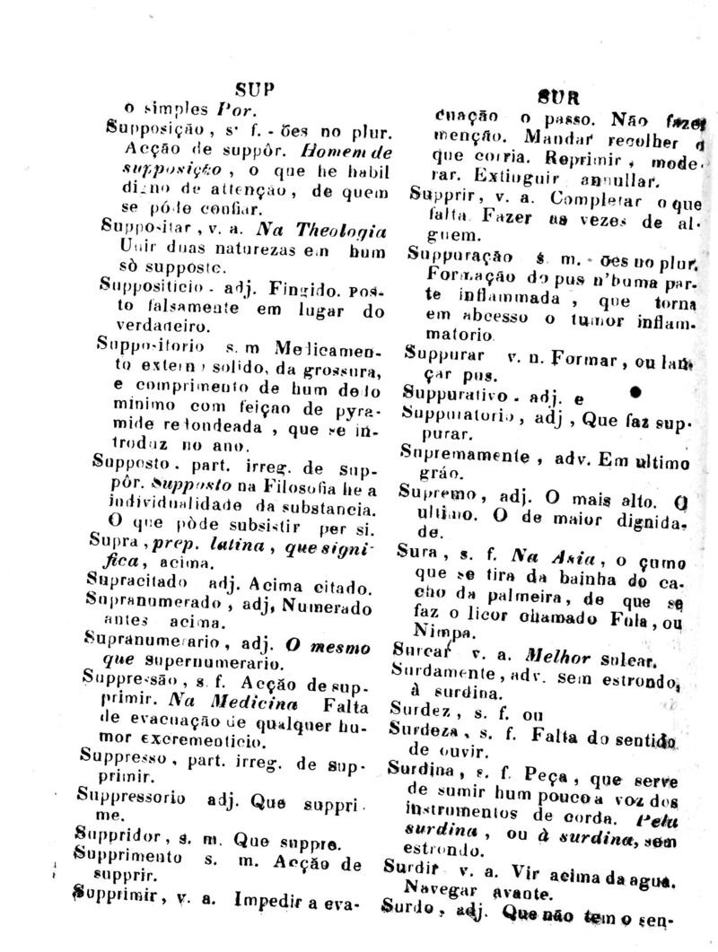 Página 1011_Diccionario da Lingua Brasileira