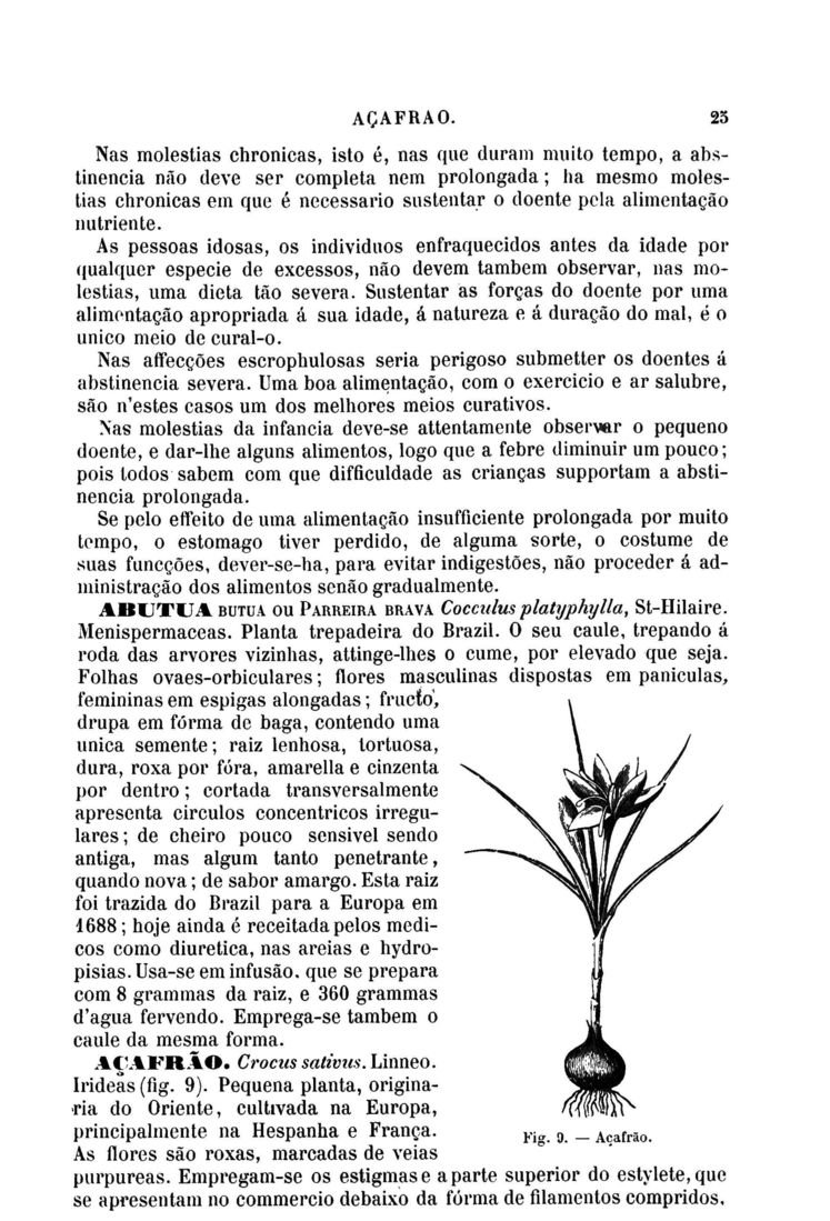Página 37_Diccionario de Medicina Popular e das sciencias accessórias para uso das familias