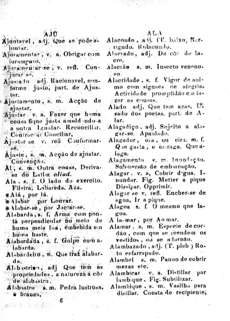 Página 41_Diccionario da Lingua Brasileira