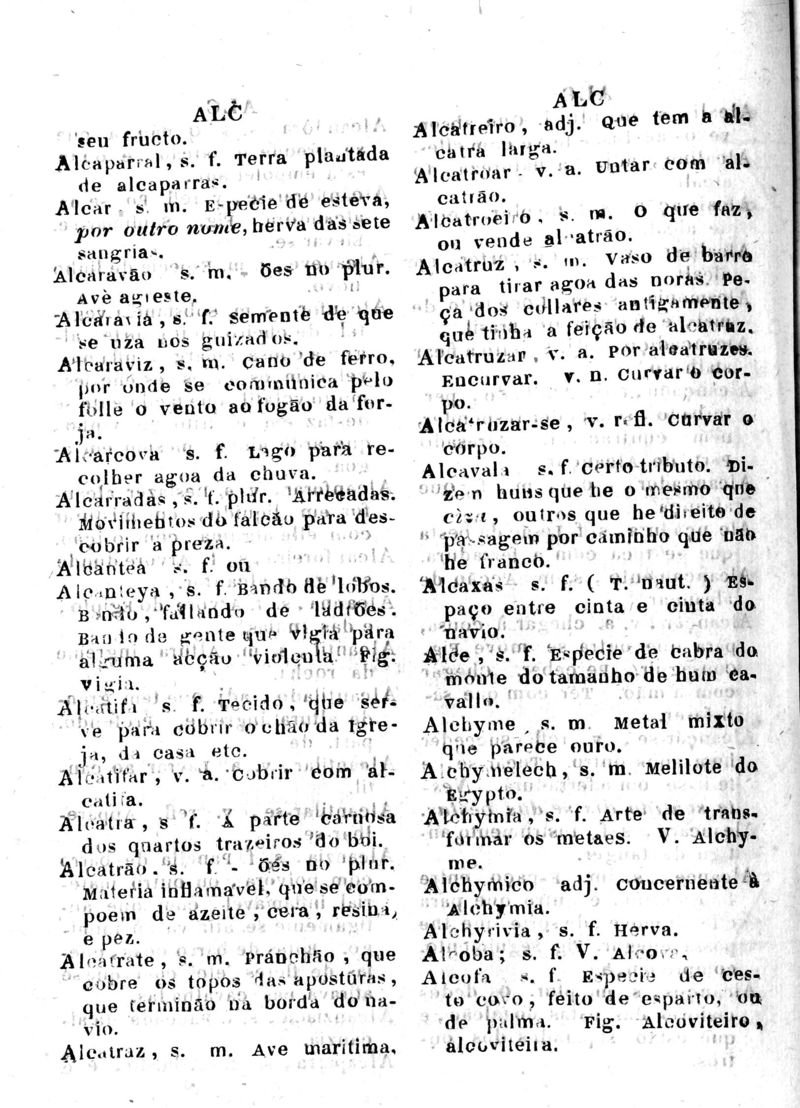 Página 46_Diccionario da Lingua Brasileira