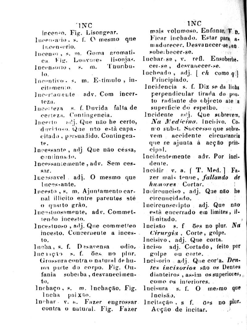 Página 599_Diccionario da Lingua Brasileira