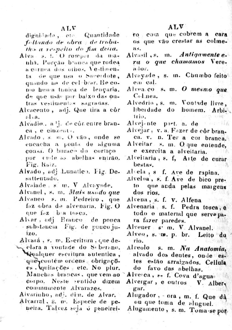 Página 64_Diccionario da Lingua Brasileira