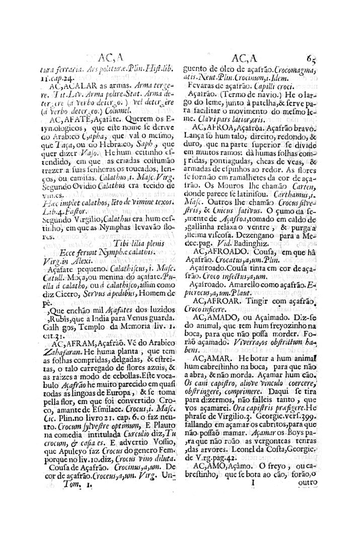 Página 65_VOCABULARIO PORTUGUEZ & LATINO, aulico, anatomico, architectonico...