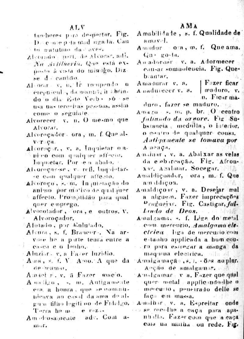 Página 66_Diccionario da Lingua Brasileira