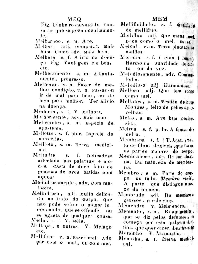 Página 703_Diccionario da Lingua Brasileira