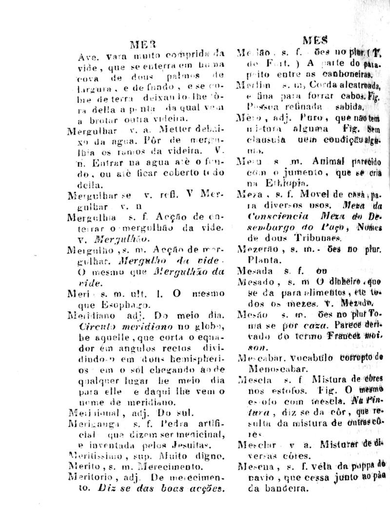 Página 707_Diccionario da Lingua Brasileira