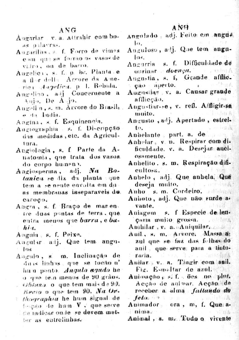 Página 80_Diccionario da Lingua Brasileira