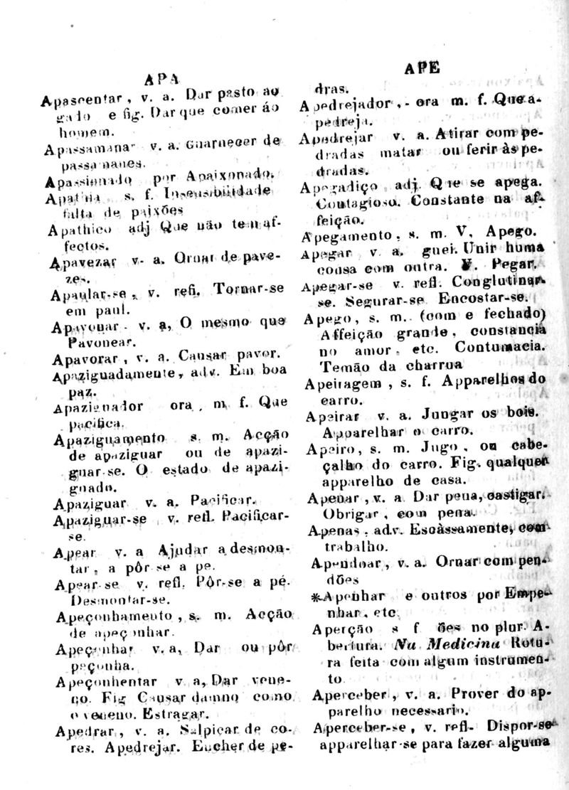 Página 90_Diccionario da Lingua Brasileira