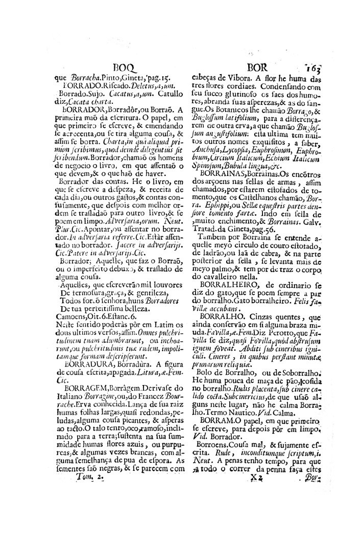Página 919_VOCABULARIO PORTUGUEZ & LATINO, aulico, anatomico, architectonico...
