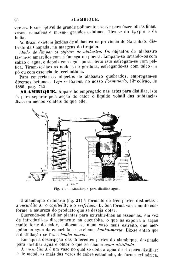 Página 98_Diccionario de Medicina Popular e das sciencias accessórias para uso das familias