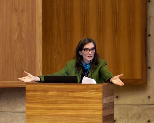 prof marise hansen
