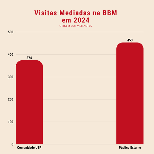 Número de Visitas Mediadas 2