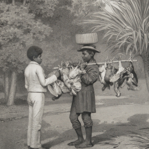 brasiliana iconografica janeiro